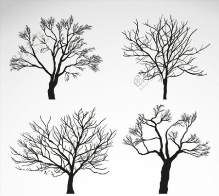 冬季树木矢量图片