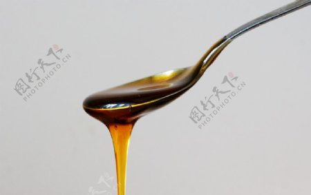 香甜营养的蜂蜜图图片