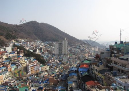 釜山图片