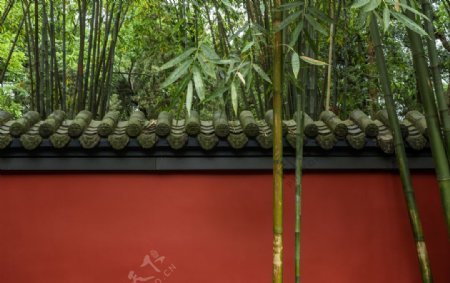 竹子红墙图片