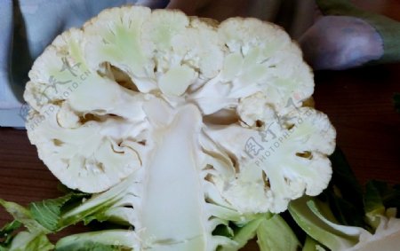 白色的新鲜菜花图片