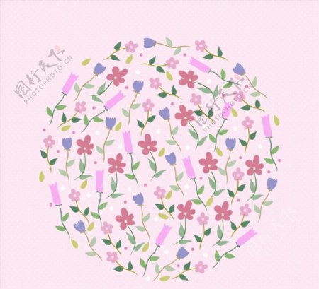 花卉组合圆形图片