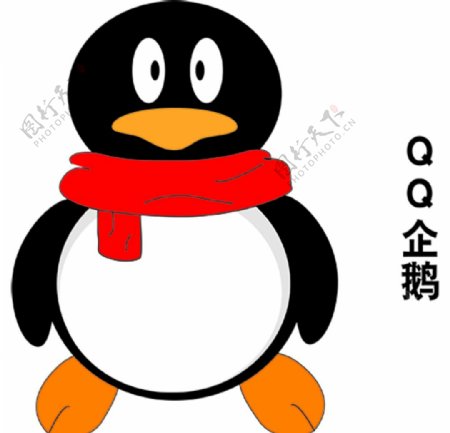 QQ企鹅图片