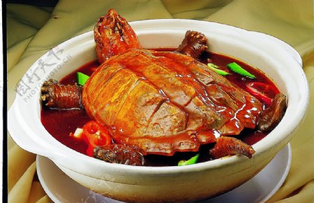豫菜红煨美国鳄鱼龟图片