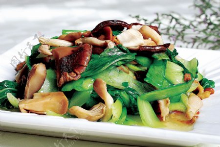 豫菜青菜炖四菇图片