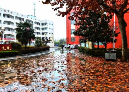 雨天的校园风景图片
