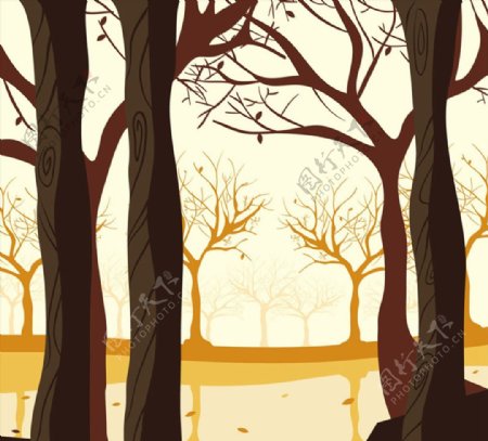 秋天树林插画图片