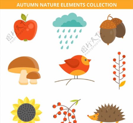 秋季自然元素图片