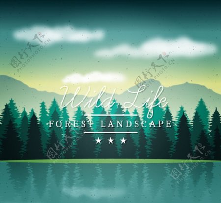 森林湖泊风景图片