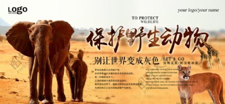 保护野生动物图片