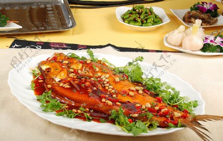 海鲜长江卤白鱼图片