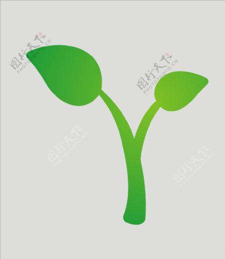 树苗植物图片