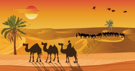 沙漠骆驼插画图片