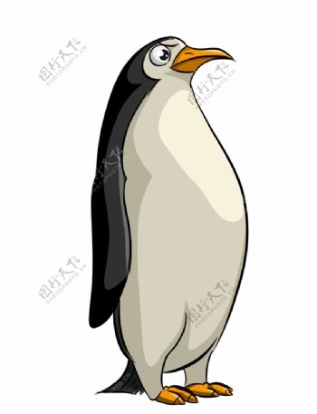 卡通企鹅插画图片