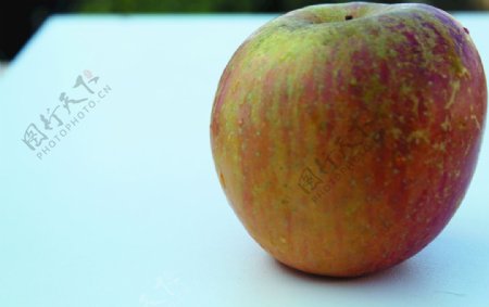 水果红苹果图片