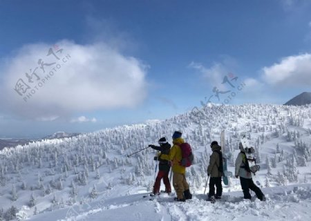 滑雪图片