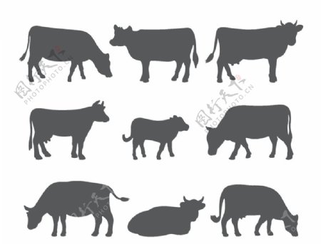 各种各样的牛剪影形态图片