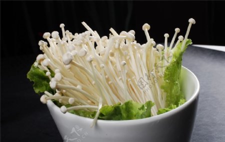 火锅菌类配菜图片