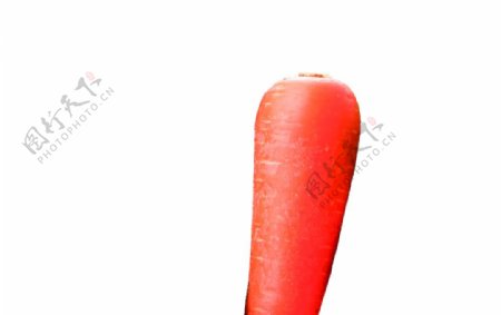 胡萝卜透明免抠素材图片