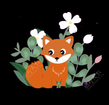花丛旁的狐狸插画图片